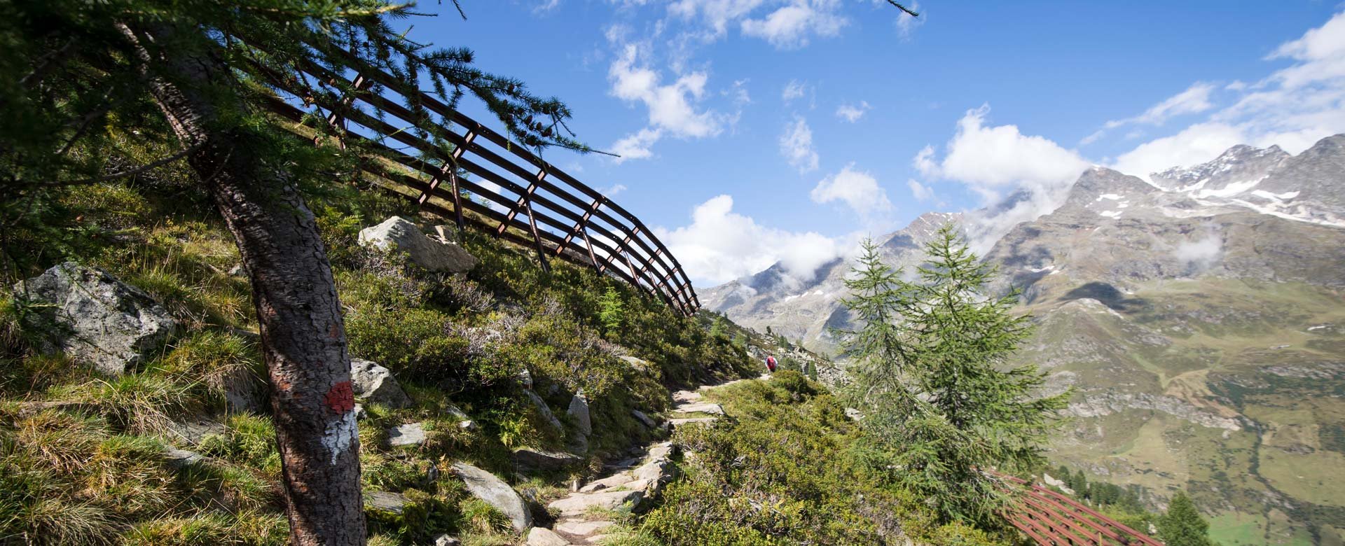 © 2025 Hotel Alpenblick
