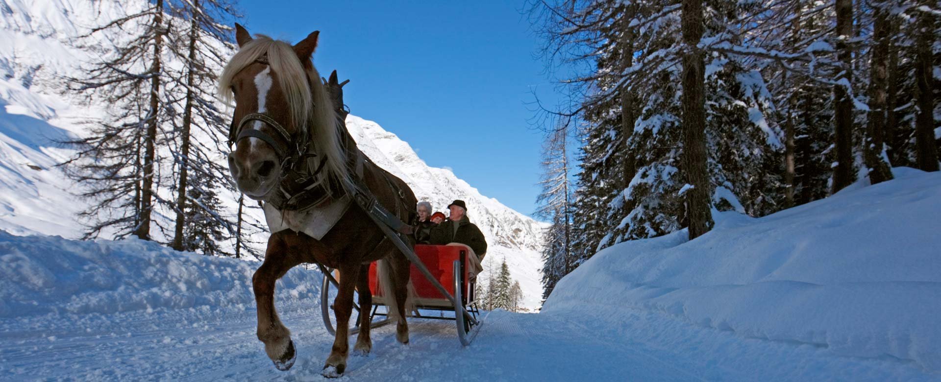 © 2025 Hotel Alpenblick