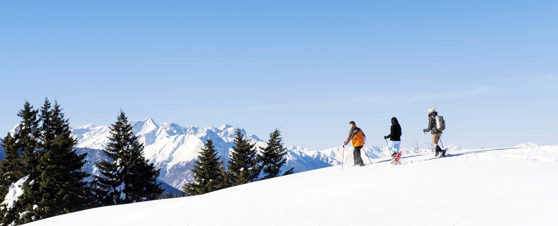 © 2025 Hotel Alpenblick