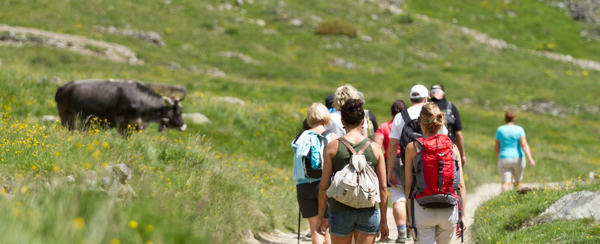 © 2025 Hotel Alpenblick