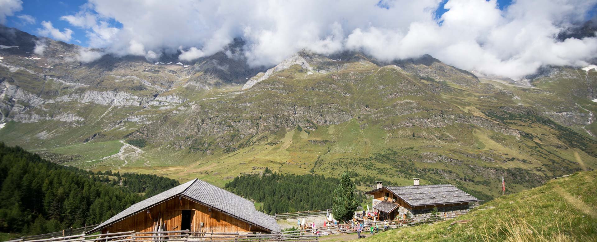 © 2025 Hotel Alpenblick