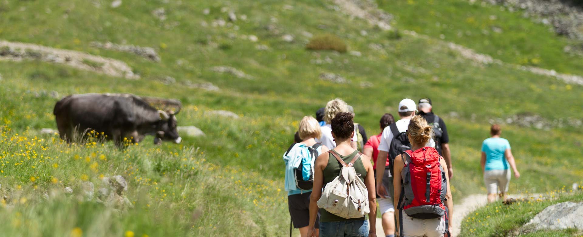 © 2025 Hotel Alpenblick