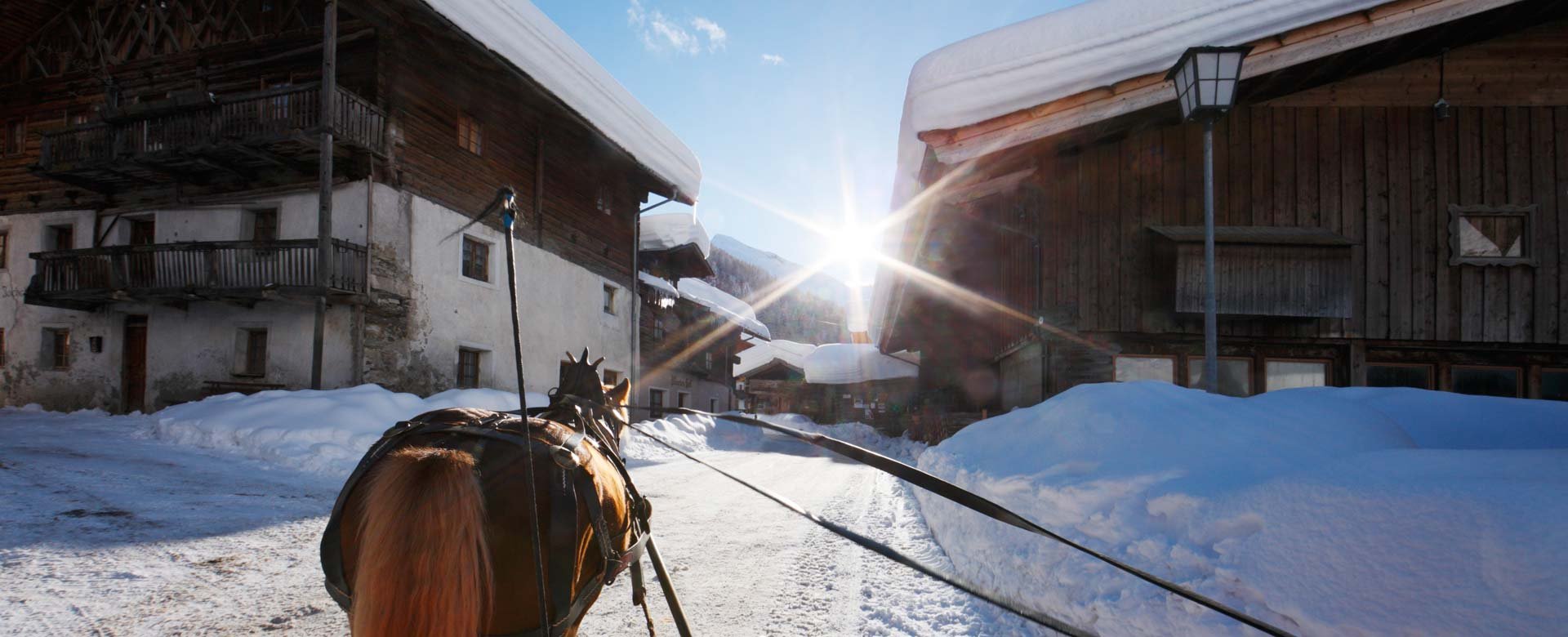 © 2025 Hotel Alpenblick