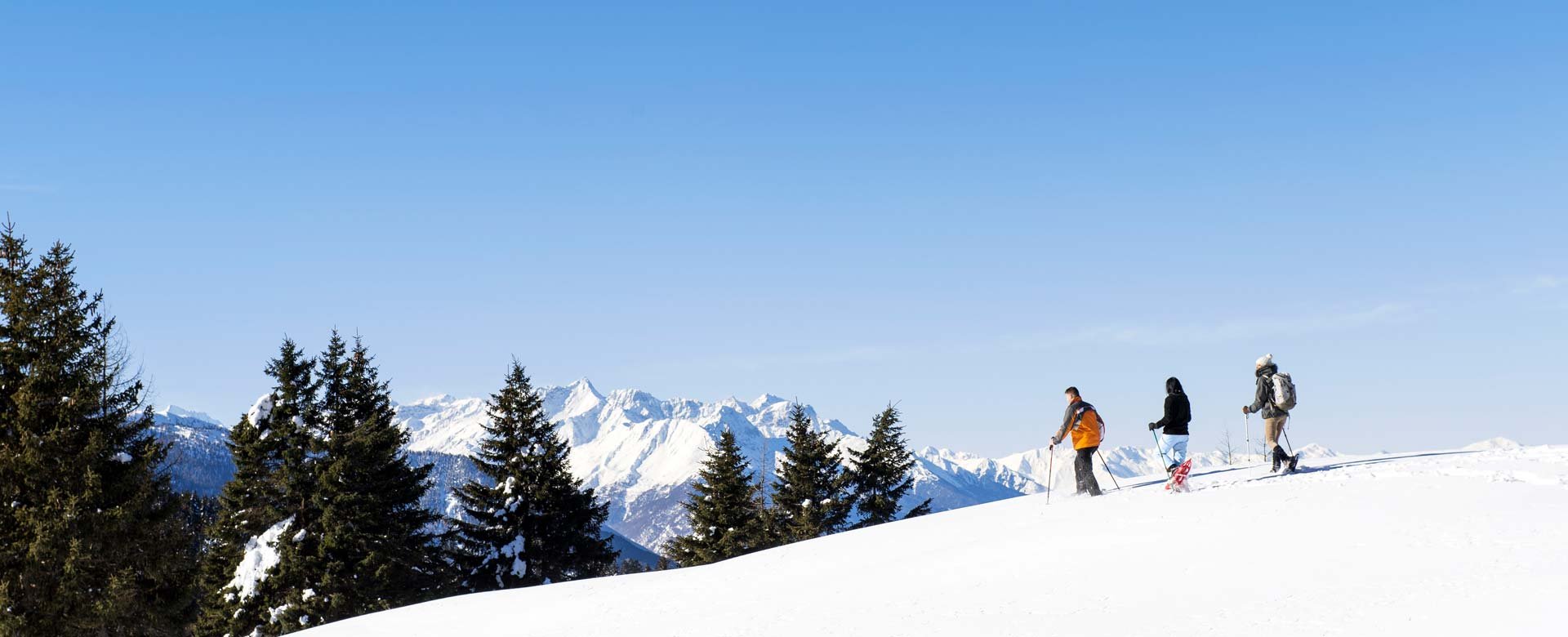 © 2025 Hotel Alpenblick