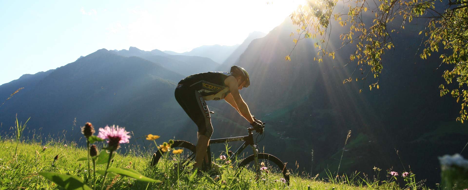 © 2025 Hotel Alpenblick