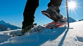 © 2025 Hotel Alpenblick