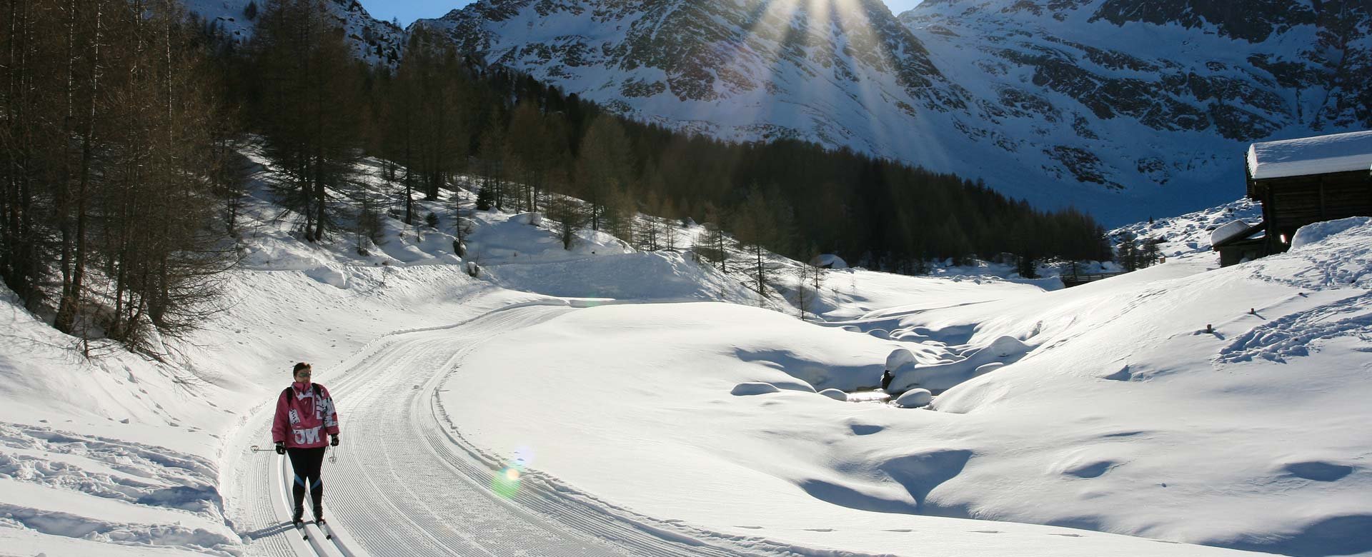 © 2025 Hotel Alpenblick