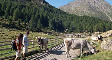Herbstwanderungen Herbstwanderungen
