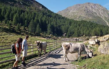 Escursioni autunnali